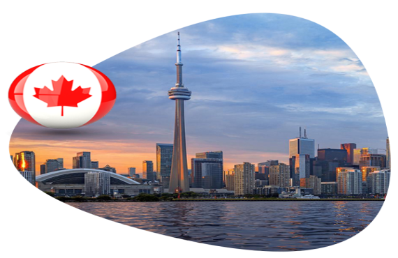 We serve for  Gallery