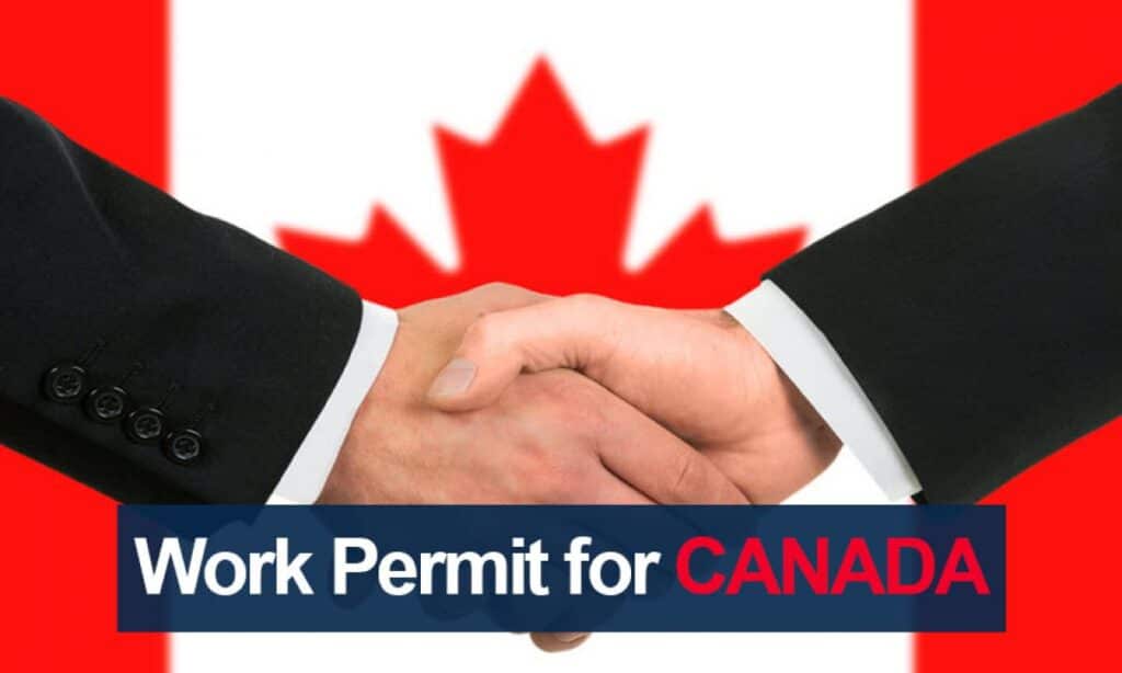 Exploring Canada Work Visa Opportunities with a Trusted Consultant in Jalandhar ( ELITE STUDY CONSULTANTS )  | ELITE STUDY CONSULTANTS | Work Permit for Canada in Jalandhar, Best Work Visa consultant for Canada in Jalandhar, Top Work visa consultant for Canada in Jalandhar, Canada Work Visa consultant Jalandhar - GL116667